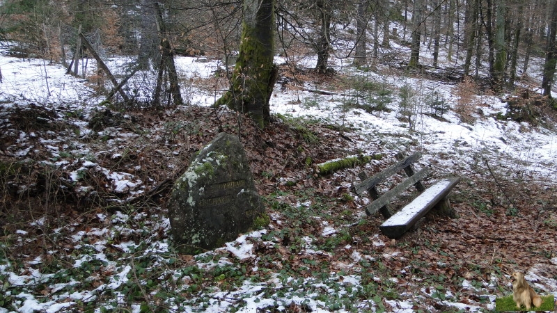 Ritterstein Nr. 245-3 Schwarzbach - Ursprung.JPG - Ritterstein Nr.245 Schwarzbach - Ursprung